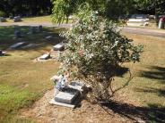 OK, Grove, Olympus Cemetery, Family Plot, Donaldson, Bill G. & Helen L.