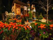 oklahoma, grove, grand lake, chamber, home, garden, show