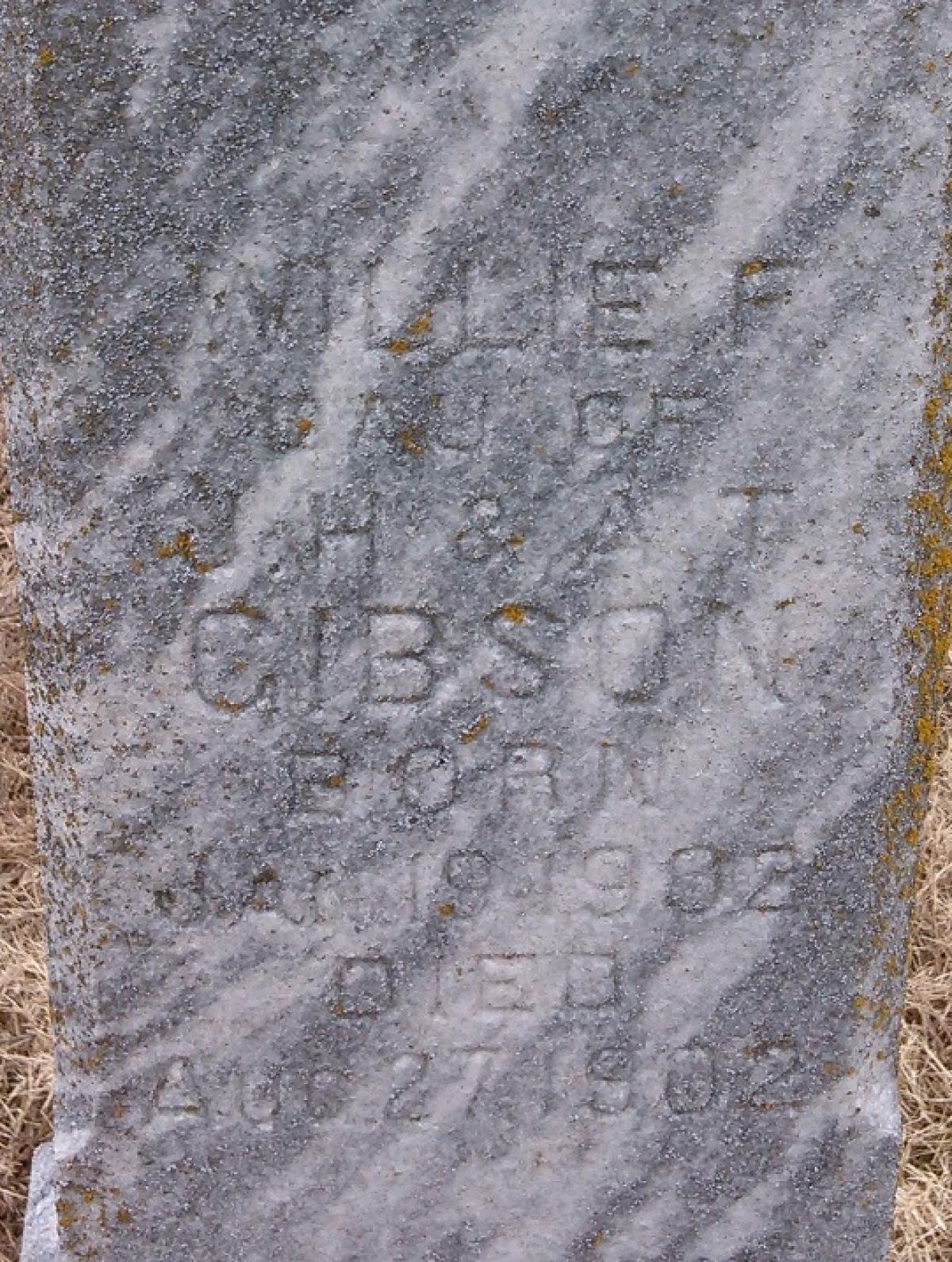 OK, Grove, Olympus Cemetery, Gibson, Willie F. Headstone